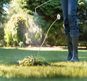 Lawn and Tree Fertilizing